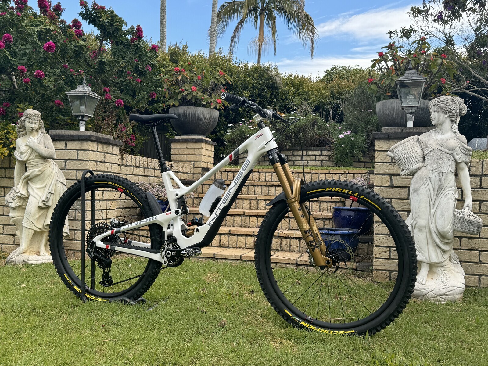 Intense Tracer 29 - Vital Bike of the Day January 2025